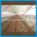 Chicken Layer Battery Cage for Farm